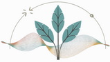 Lloyd Gee Natural Health